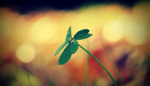 云达不莱梅保持不败，积分榜上升