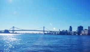 里昂在主场取得关键胜利，实力得到认可