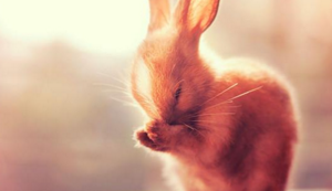 沙特队精彩逆转，成功跻身半决赛