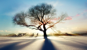 亚眠主场力克对手，获得宝贵3分