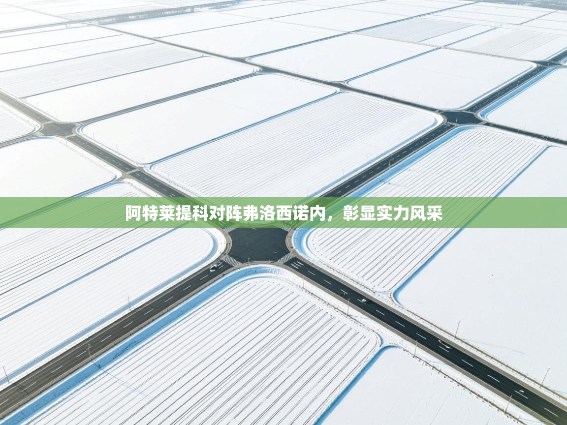 阿特莱提科对阵弗洛西诺内,彰显实力风采