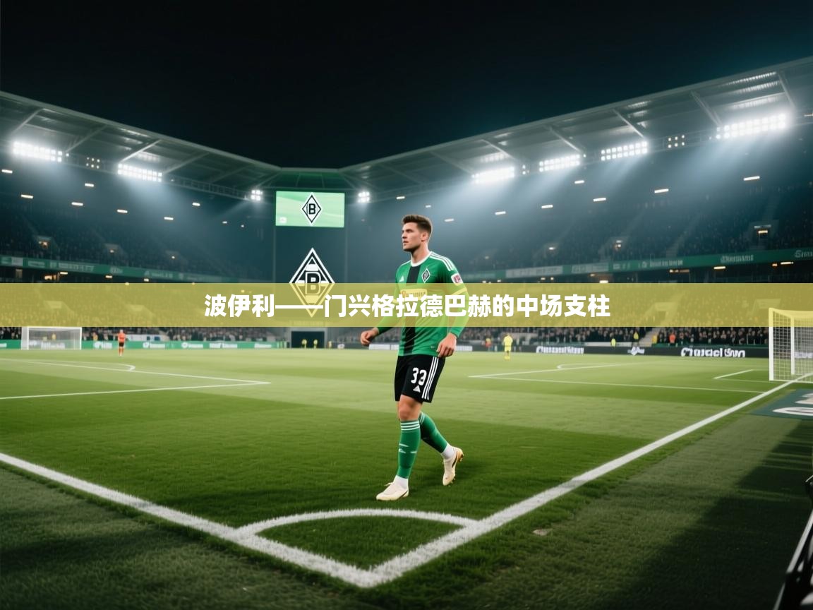 波伊利——门兴格拉德巴赫的中场支柱  第2张
